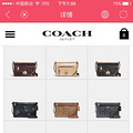 Coach ֿӴ µĿȥ_4