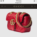 ˹gucci wanghong_2