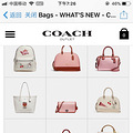 coach ���� ȥ��Ӵ_4
