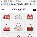 coach ���� ȥ��Ӵ_5