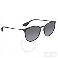 Ray Ban  Erika ϵ ɫƫ̫