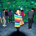 各大影楼大比拼，亲最喜欢哪家的作品呢_1