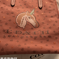 coachķϷŮģʶcoach_0