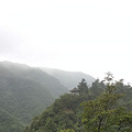 娄山关，绿苔木阶，青山白塔有脊，行路淡雾_3
