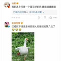 确认过微博文案，都是杨紫的人，这波操作非常666_0