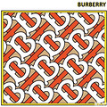 BURBERRYLogoӡˡǾµĺÿ_1