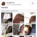 研究生原配被逼自杀ICU抢救，凤凰渣男却和小三开心拍婚纱照_4