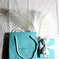 Tiffany¿ϵ׹ת_3