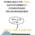 得甲状腺疾病的越来越多，甲状腺是什么？在哪里？【孕期龙门阵】_0
