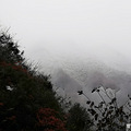 本是去看红叶，谁知还有雪景的惊喜！_2