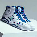 Air Jordan 6 ȫɫ543390 153ͯ