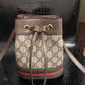 ��һ���ڹ���ר���²�Gucci ��ɭ