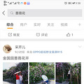 打卡wanghong蔷薇花，北碚金果园（适合亲子，闺蜜，情侣去散步拍照）_2