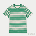 Ralph Lauren Striped Jersey V-