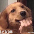 贫民窟女孩get了她的闪耀钻石梦，分享史上最强省钱攻略~_4