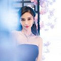 Angelababy˿_0