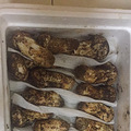 吃松茸的季节_0