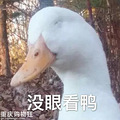 小菊的故事（1）_4