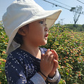 西彭的粉黛乱子草开了【重庆周边游】_4