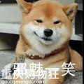 泡菜国一代“女神”早年做情妇，反被情夫仙人跳的故事_5