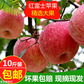 超多糖心超甜多汁的富士苹果29.9元10斤包邮【十一月团大】_1