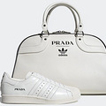 PradaAdidasÿ𣿻˺ܶͬ_0