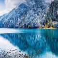 元旦活动12.30-1.1赏雪去！九寨沟的冬天美到惊艳 门票只要80_0