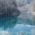 元旦活动12.30-1.1赏雪去！九寨沟的冬天美到惊艳 门票只要80_4