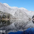 元旦活动12.30-1.1赏雪去！九寨沟的冬天美到惊艳 门票只要80_2