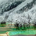 元旦活动12.30-1.1赏雪去！九寨沟的冬天美到惊艳 门票只要80_3