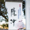 春城遛“瞄”记【2019秋冬游记】_5