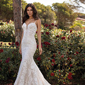 Pronovias2020�¿����� �����µļ�����ɴ_0