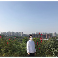 暖阳下的熊婆婆花园_5