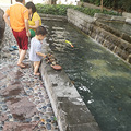 8岁的娃儿耍水当场脱裤子....她妈还帮他脱啥子人哟_3