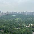 俯瞰龙头寺公园，公园门口轻轨旁3室2厅品质房出售【我要卖房】_0