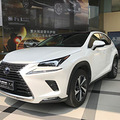 ׿˹SUV׼³NX300H°_2