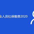 ҵԱ籣ɷ2020