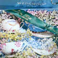 WedgwoodҲ̫ʺϵ»_2