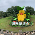 直播2020重庆花博会，开幕第一天，我带你去亲身体验_2
