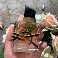 ܺYsl֮ˮ䡾˫ʮһĻױƷ_3