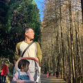 山王坪红叶秋色赏【2020秋冬游】_5