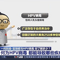 ҹữƣHPVÿһιɸ_3