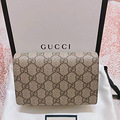 GucciСӱİѽ