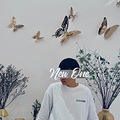 NEWONEحһηʽľԼ_0