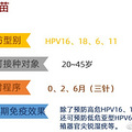 ͬ۵HPVʲôһͼΪ_0