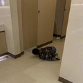 女子带10多岁儿子进游泳馆女更衣室，遭劝阻后称：就你精贵怕看_1