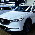ϵ˶Suv197ʱԴcx-5_3