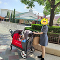 Hello��Disney Land��һ��һ ���Ϻ���ʿ��~_1