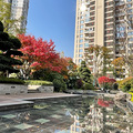不吹不黑，280万在核心区买这样的大平层，真香！！_3