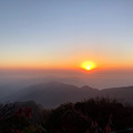 来一场说走就走的放风_2